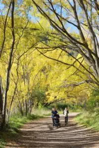 Cardio Exercise - Walking, Hiking, Running Outdoors