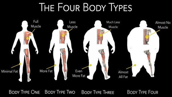 Scientific Body Type Quiztest What Is My Body Type The Four Body Types Fellow One Research 5907