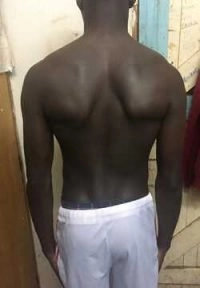 Body Type One (BT1), Body Type Test/Quiz (Man/Male) Results 849 - Fellow One Research Participant, The Four Body Types