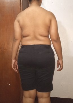 The Four (4) Body Types, Body Type Quiz (Woman/Women/Female) Results 917 - Body Type Three (BT3), Fellow One Research Participant Test