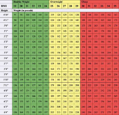The Paul Croswell Audio Experience - Body Mass Index (BMI) Weight Scale