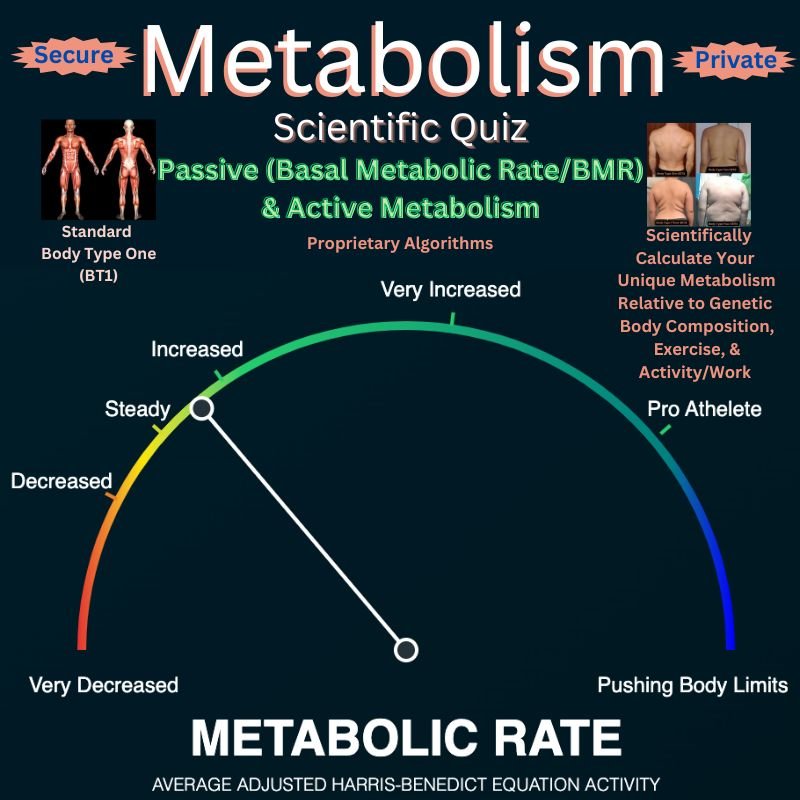 Scientific Metabolism Quiz - Digital Scientific Health Quizzes